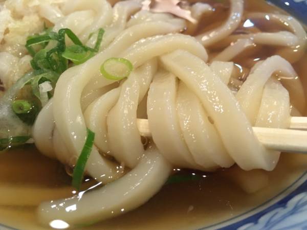讃岐うどんの麺のアップ