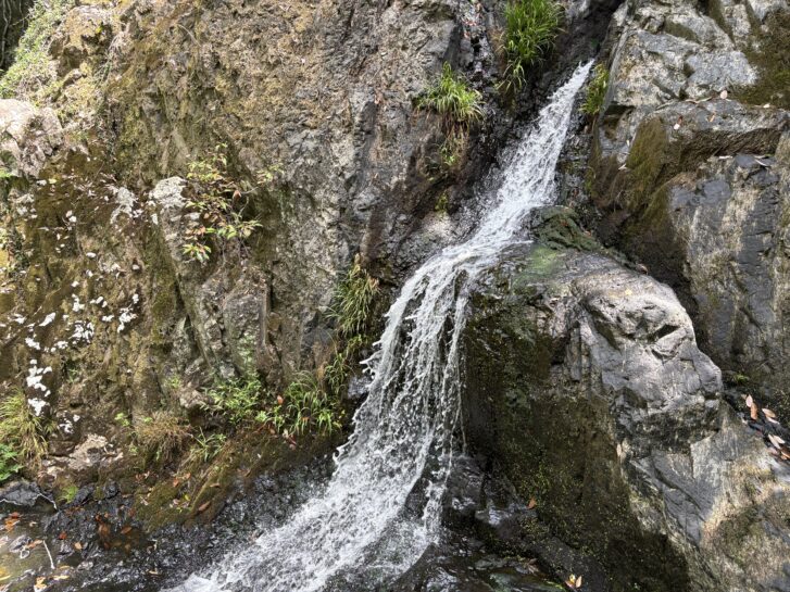 前日の雨で水量が増えたつくばねの滝