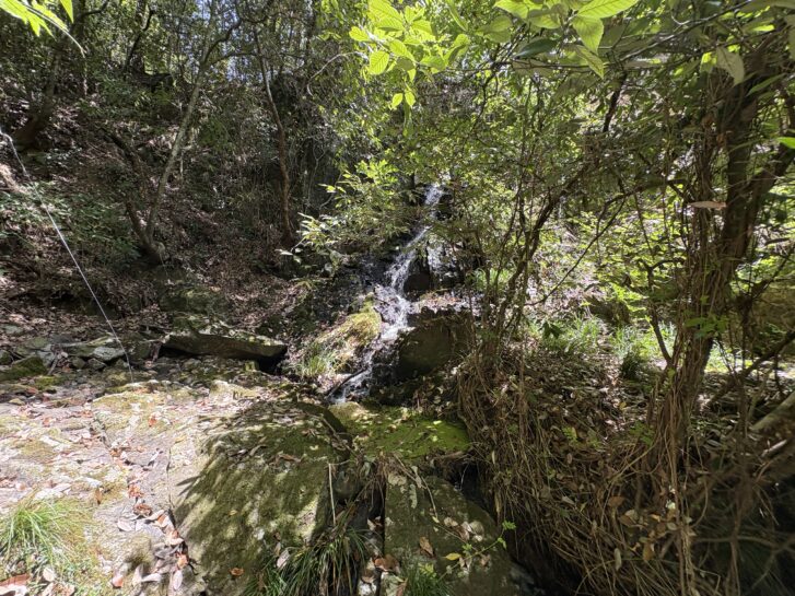 つくばねの滝 倒木裏にある奥の滝