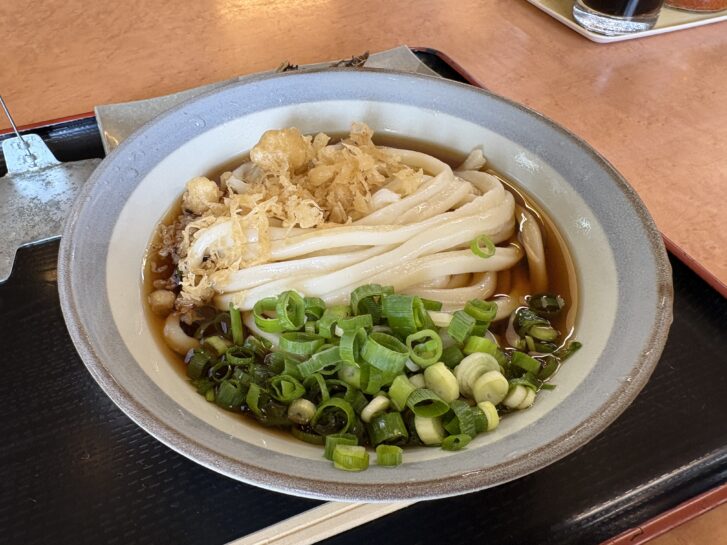 讃岐めん うどんや 醤油ぶっかけうどん2玉