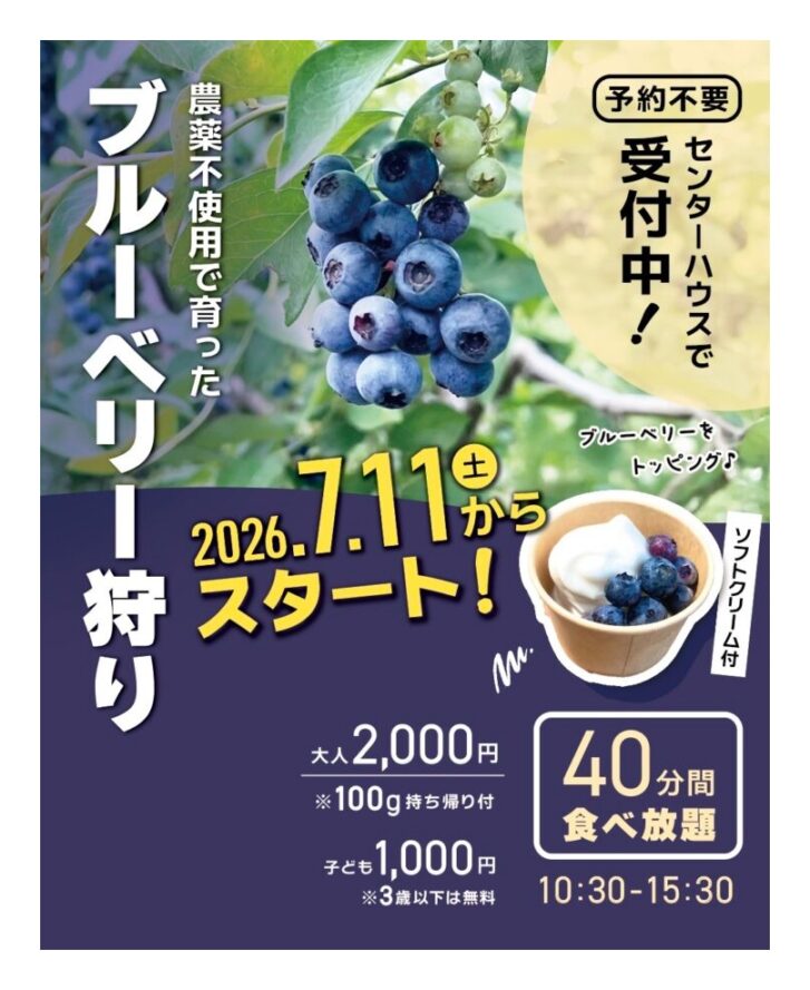みとろの丘 ブルーベリー狩り 告知チラシ