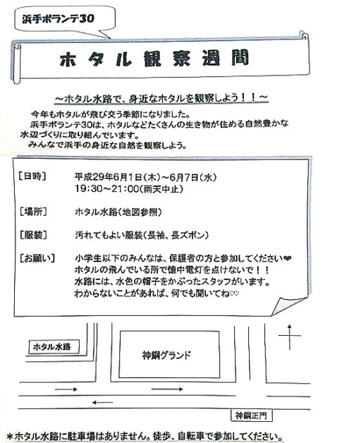 加古川市 浜手ボランテ30ホタル観察会 告知チラシ