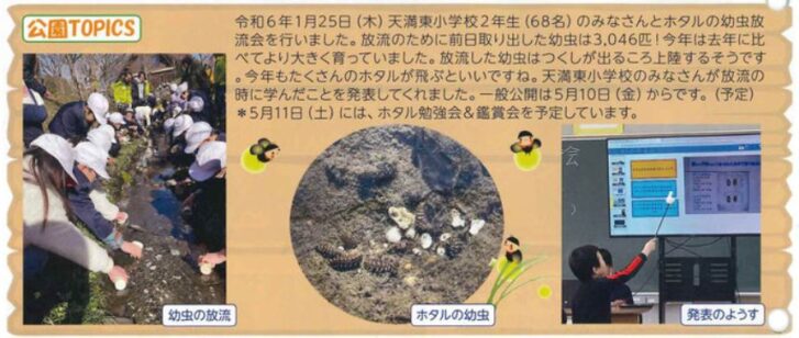 加古川市 浜手ボランテ30ホタル観察会 告知チラシ