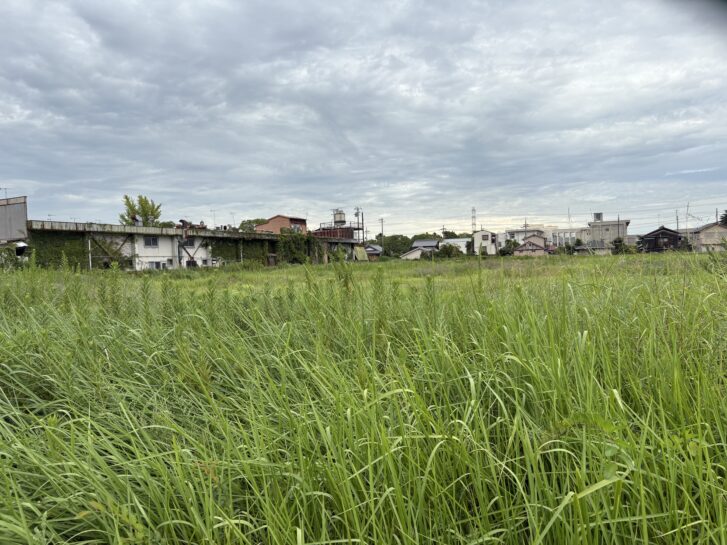 トライアル高砂曽根店予定地 県道555号線沿い西側から 2025年9月