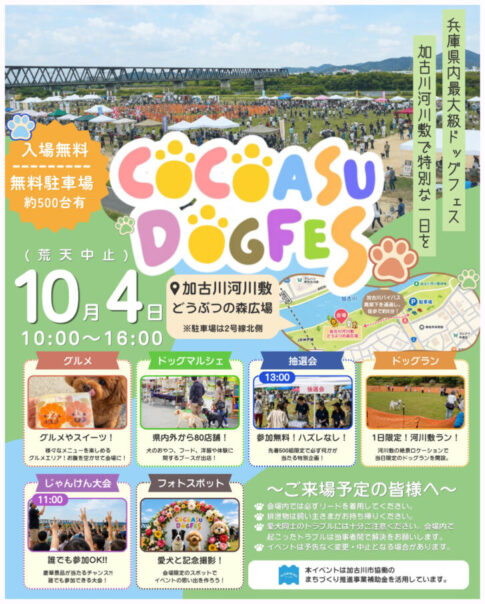 COCOASU DOGFES ココアスドッグフェス 告知チラシ 2026年10月4日 加古川河川敷