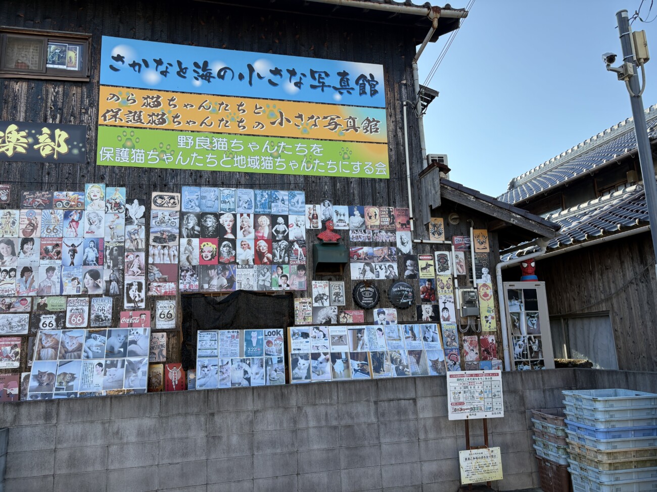 加古川珍百景 さかなと海の小さな写真館 看板と猫の写真・レトロ看板コレクション