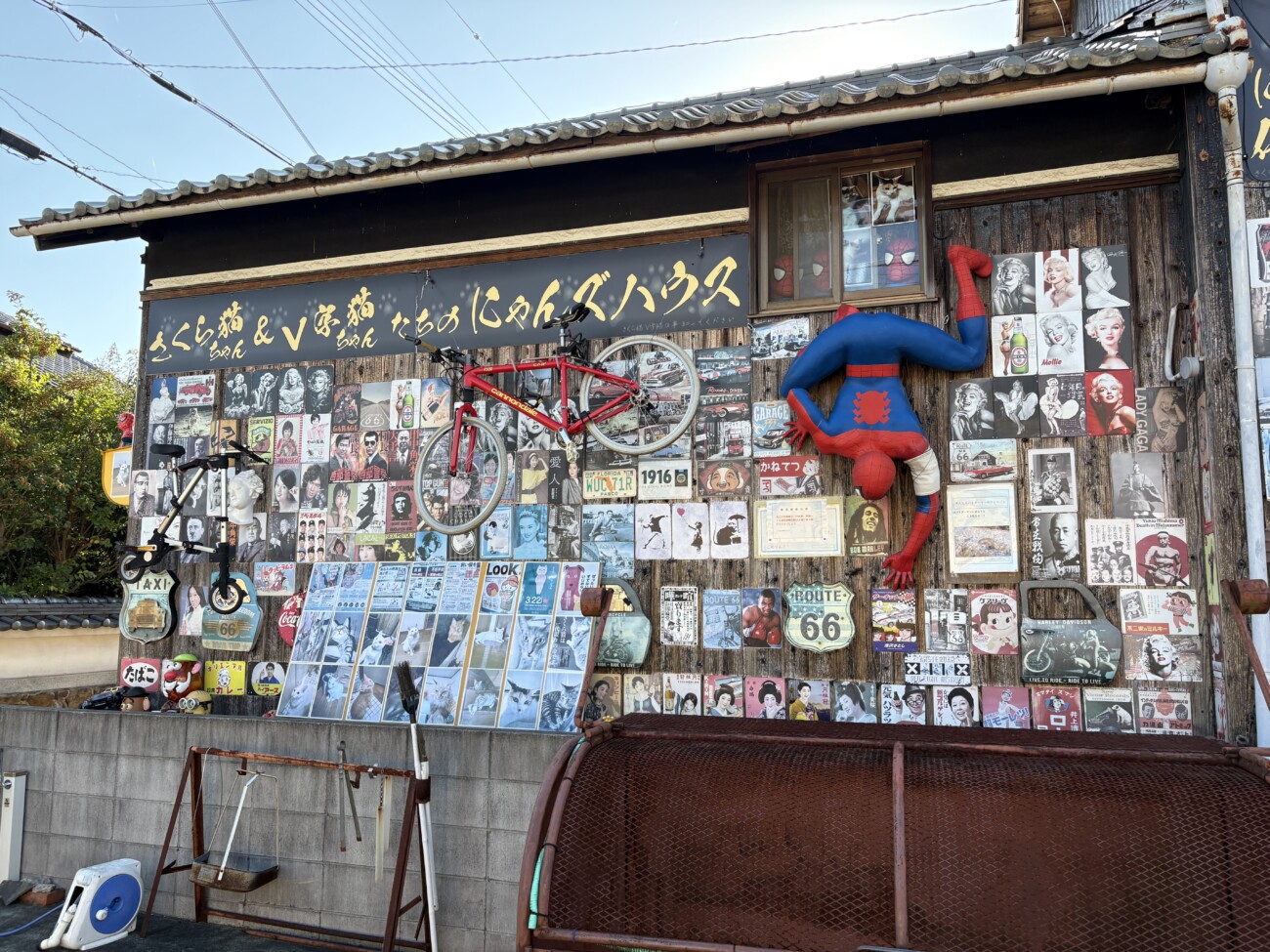 加古川珍百景 さかなと海の小さな写真館 にゃんズハウスの看板と自転車のオブジェ