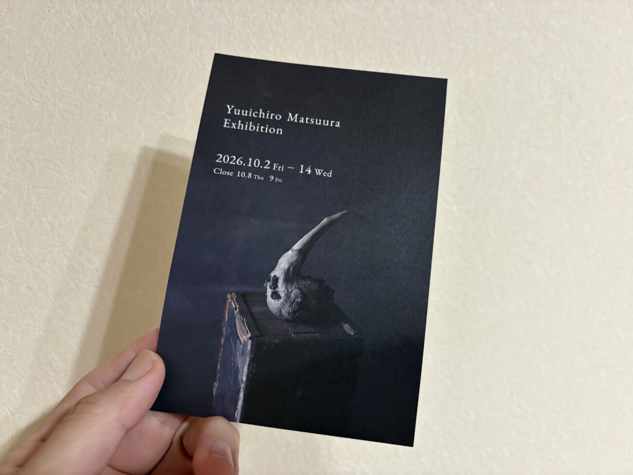Yuuichiro Matsuura Exhibition 告知ポストカード、牛の頭骨オブジェ