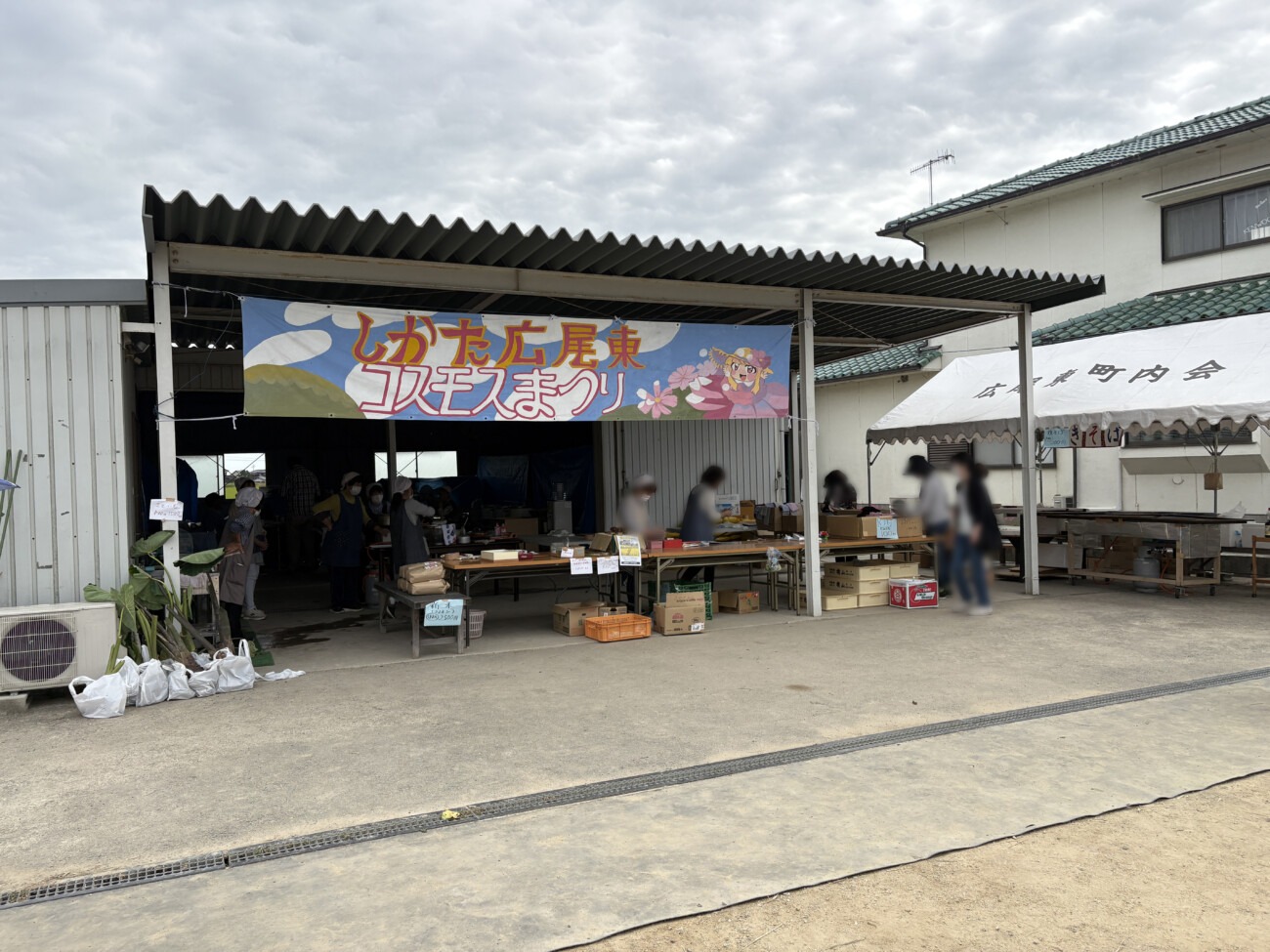 「しかた広尾東コスモスまつり」の横断幕が掲げられた産直販売ブース