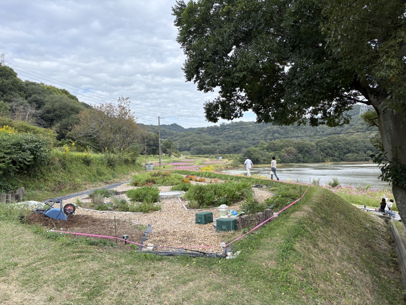 北側会場のさらに奥にある池のほとりの花壇