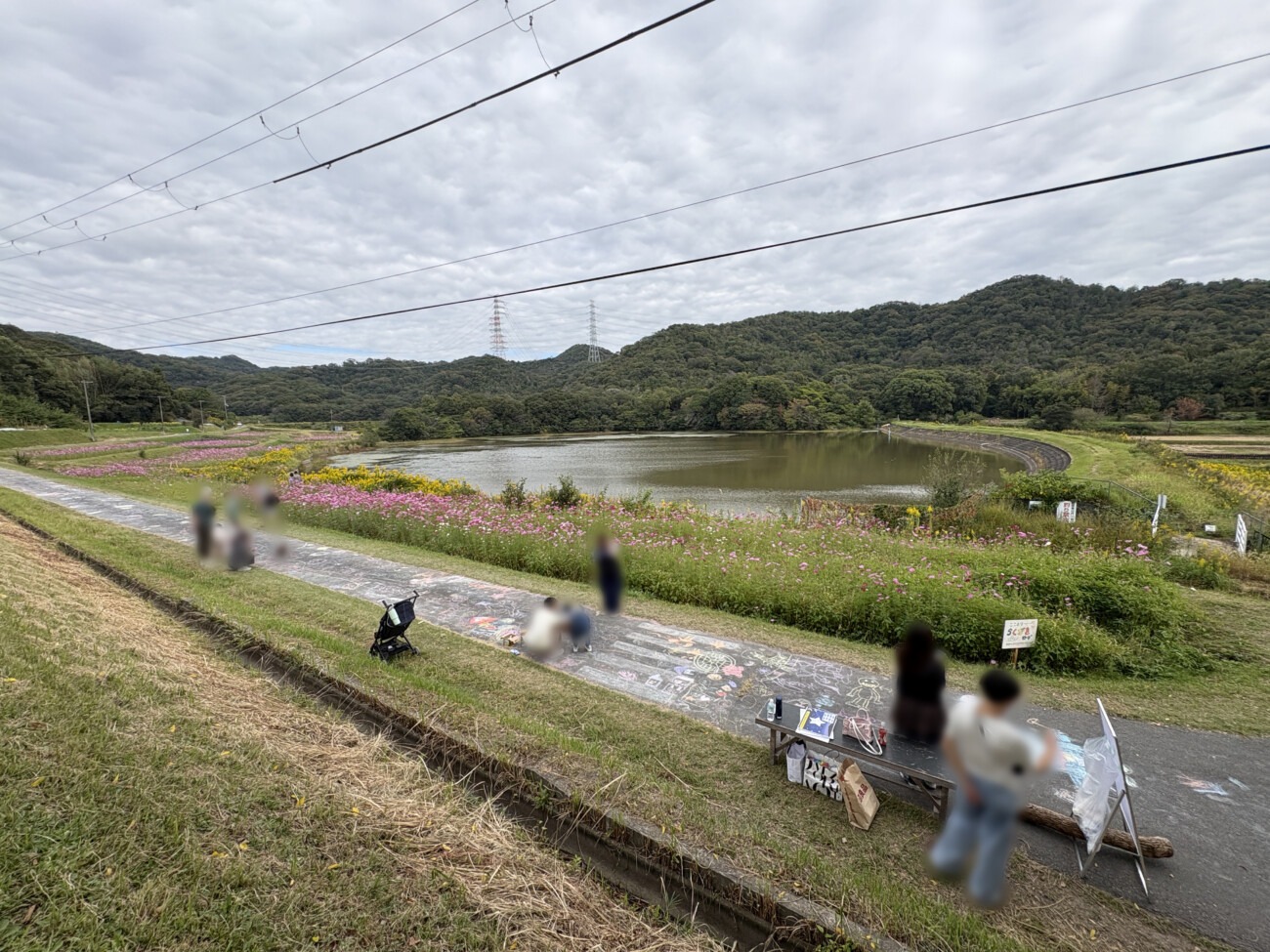 池沿いの道にチョークで絵が描かれた「落書きロード」
