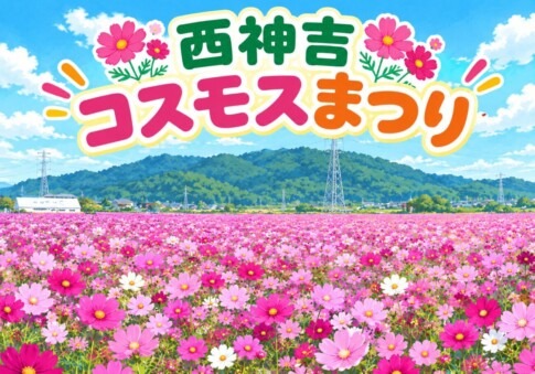 【2026年11月3日開催】「西神吉コスモスまつり」米・農産物の販売も（加古川市西神吉町）